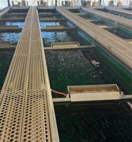 InWater Lifter